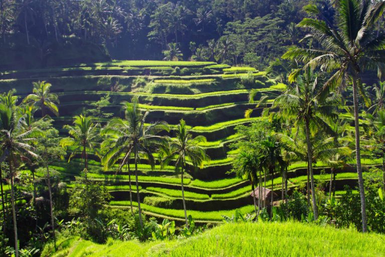 Combien de temps faut-il pour visiter Bali en Indon&eacute;sie ?